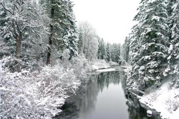 Nason Creek Winter